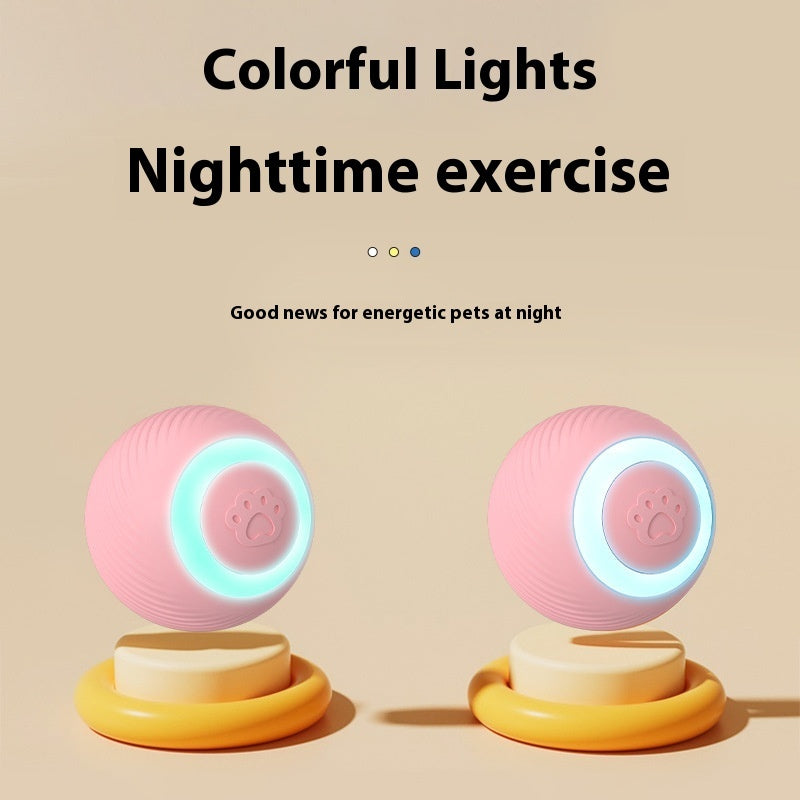 The Lighted Ball Moves, and the Cat Follows It!