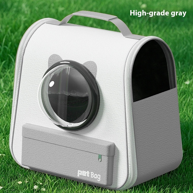 Both Safe and Cool for Your Cat!