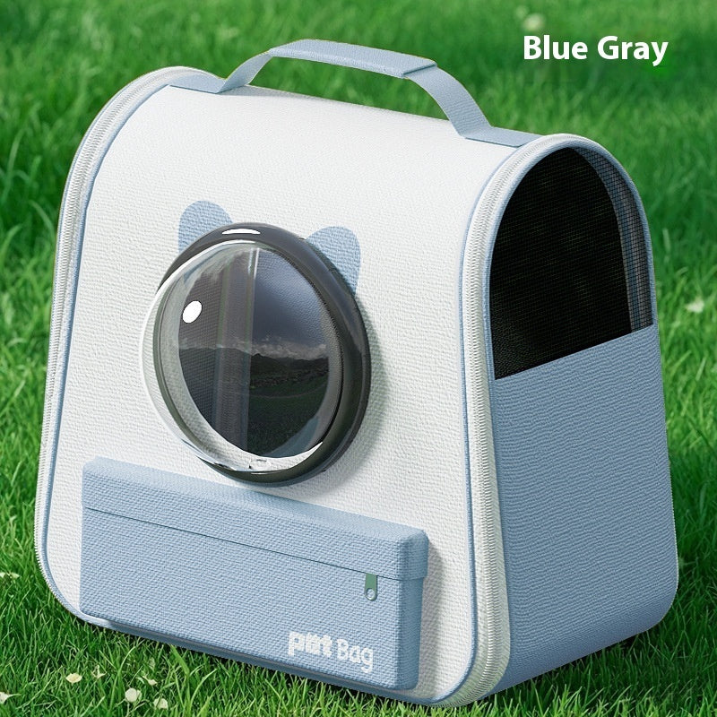 Both Safe and Cool for Your Cat!