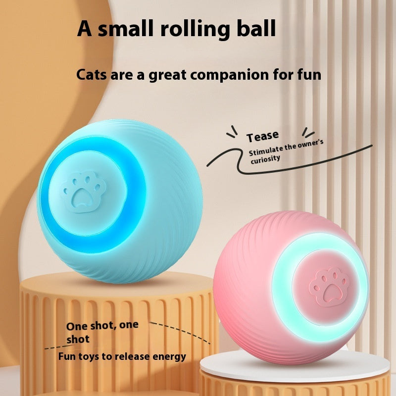 The Lighted Ball Moves, and the Cat Follows It!