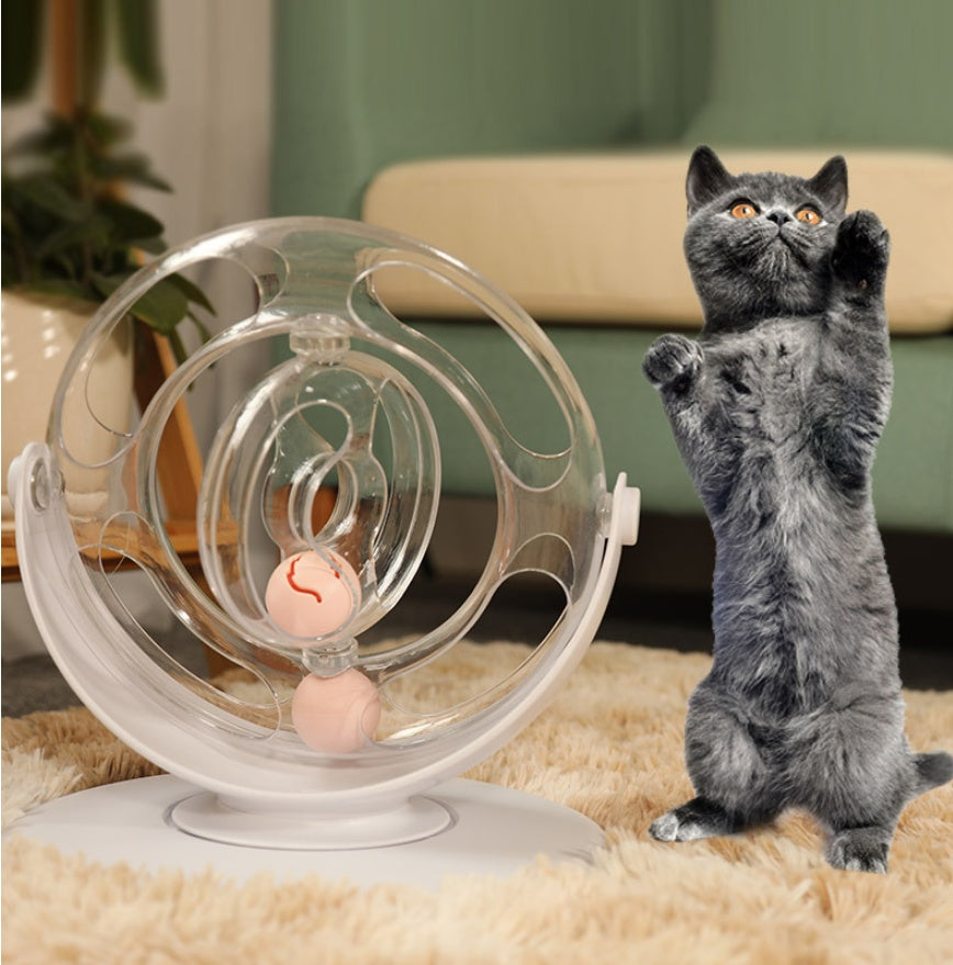 Both Play and Education in One Toy!