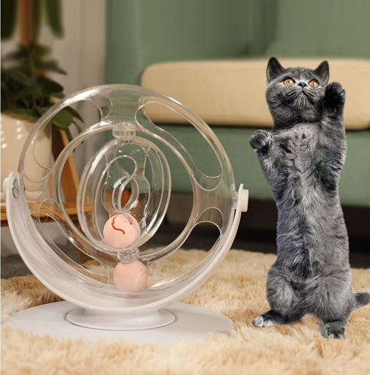 Both Play and Education in One Toy!