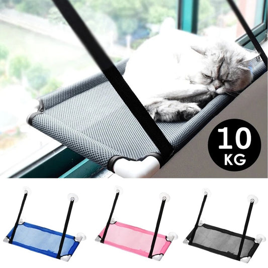 Your Cat's New Observation and Sleeping Area
