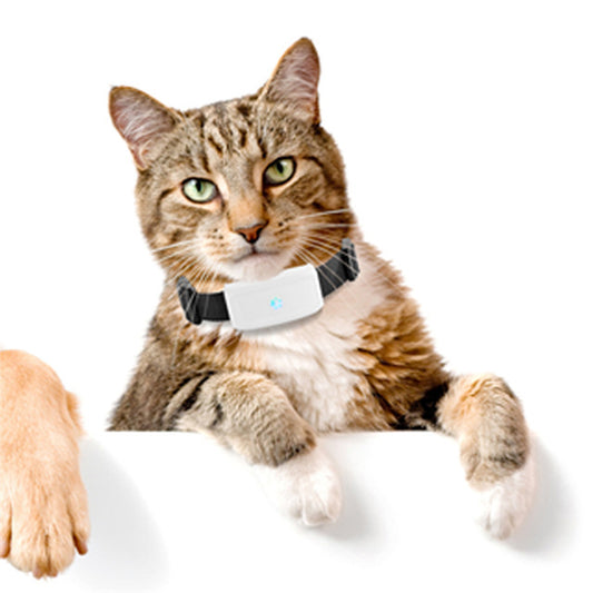 Smart GPS Collar for Adventurous Cats