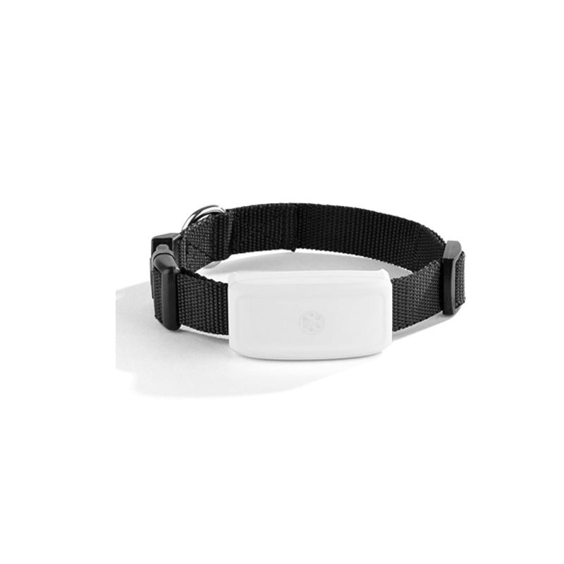 Smart GPS Collar for Adventurous Cats