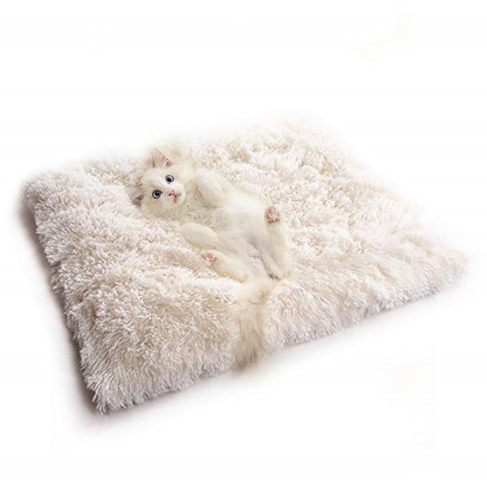 A Soft Bed That Will Pamper Your Cat's Dreams