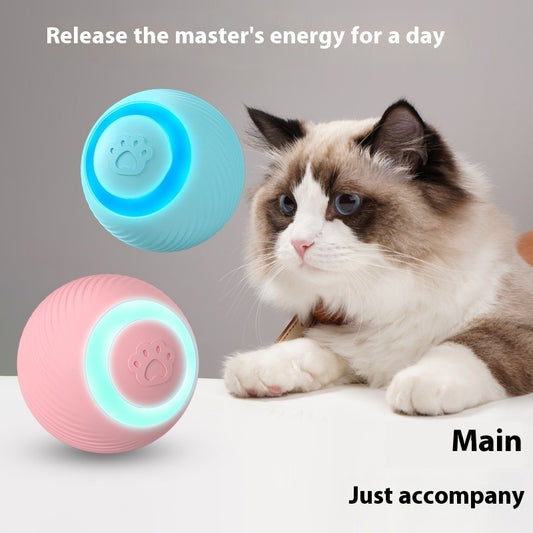 The Lighted Ball Moves, and the Cat Follows It!