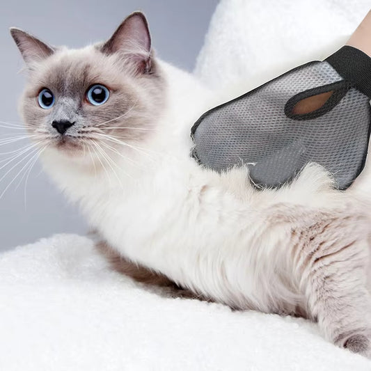 Your cat will love it! Relaxing Hair Collection and Massage Glove