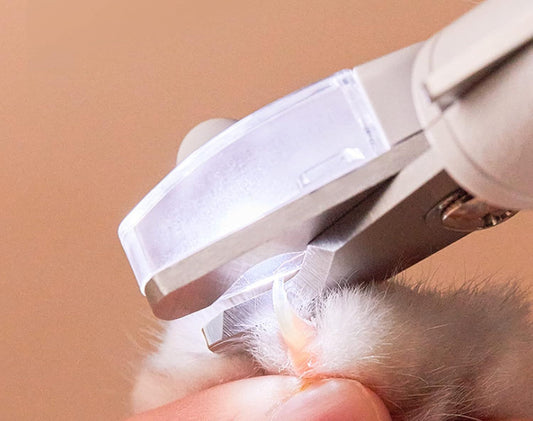 Safe Nail Care with Lighted Scissors