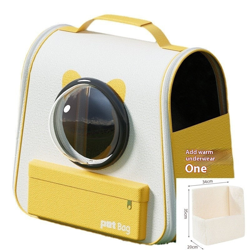 Both Safe and Cool for Your Cat!