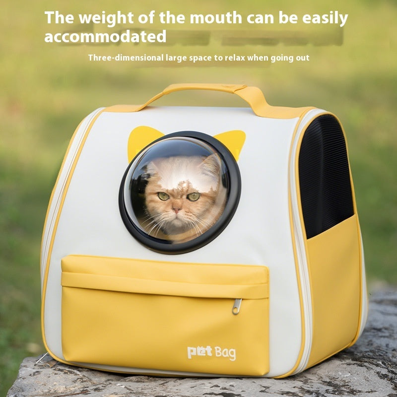 Both Safe and Cool for Your Cat!