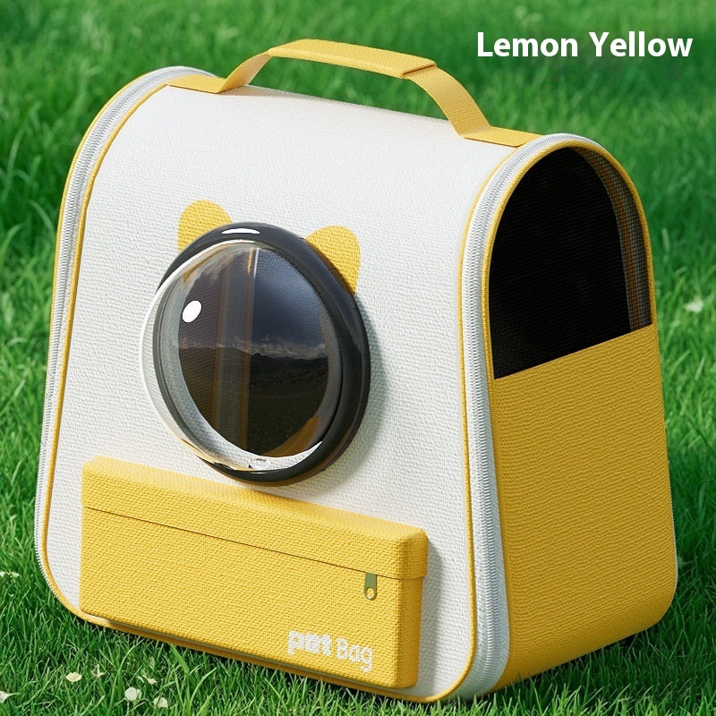 Both Safe and Cool for Your Cat!