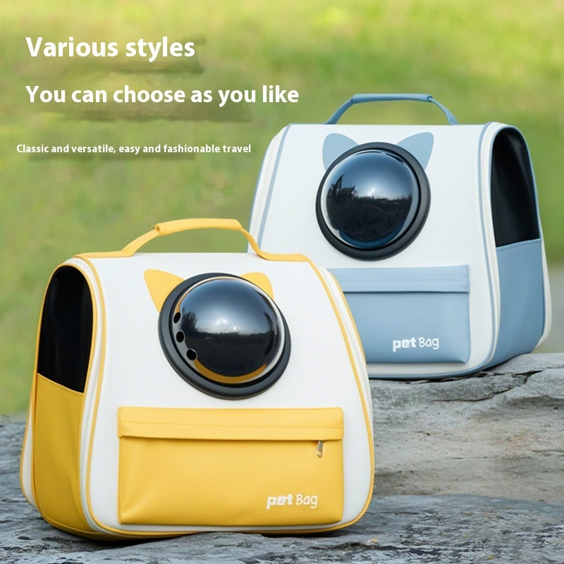 Both Safe and Cool for Your Cat!
