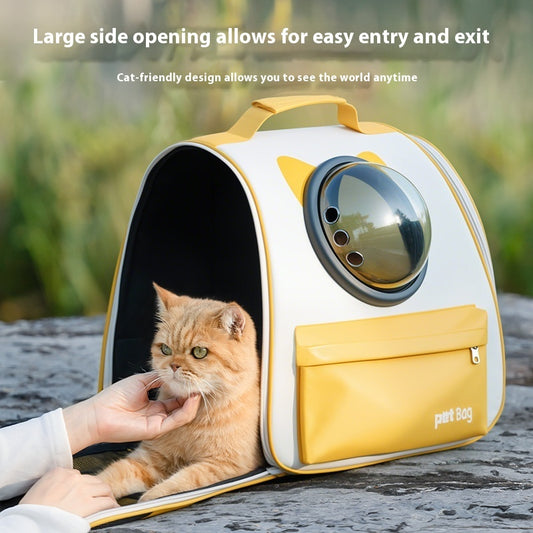 Both Safe and Cool for Your Cat!