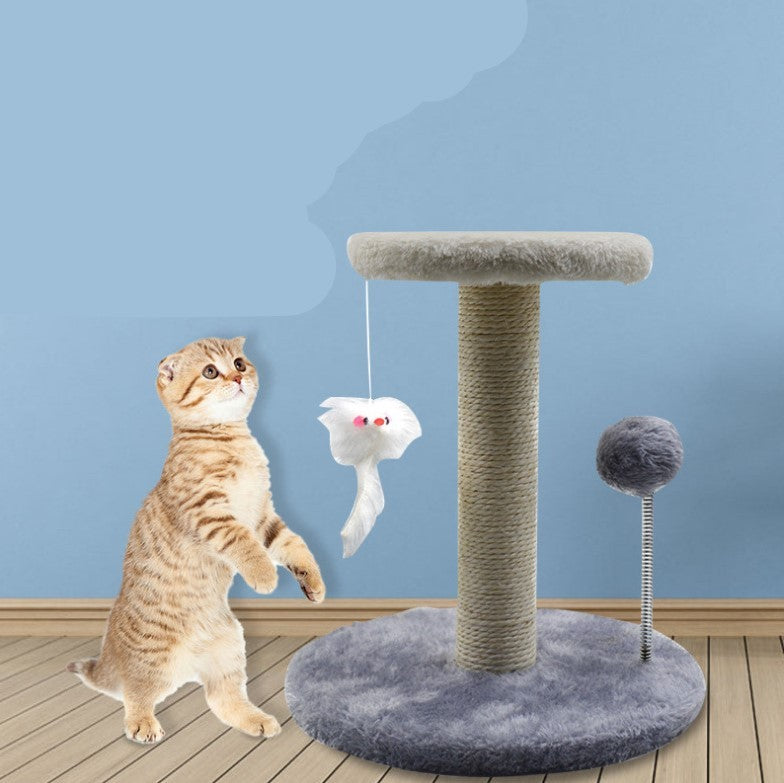 Playtime Meets Scratching Fun